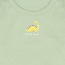 西松屋冬季長袖連身衣3件(恐龍啡/綠/黃)